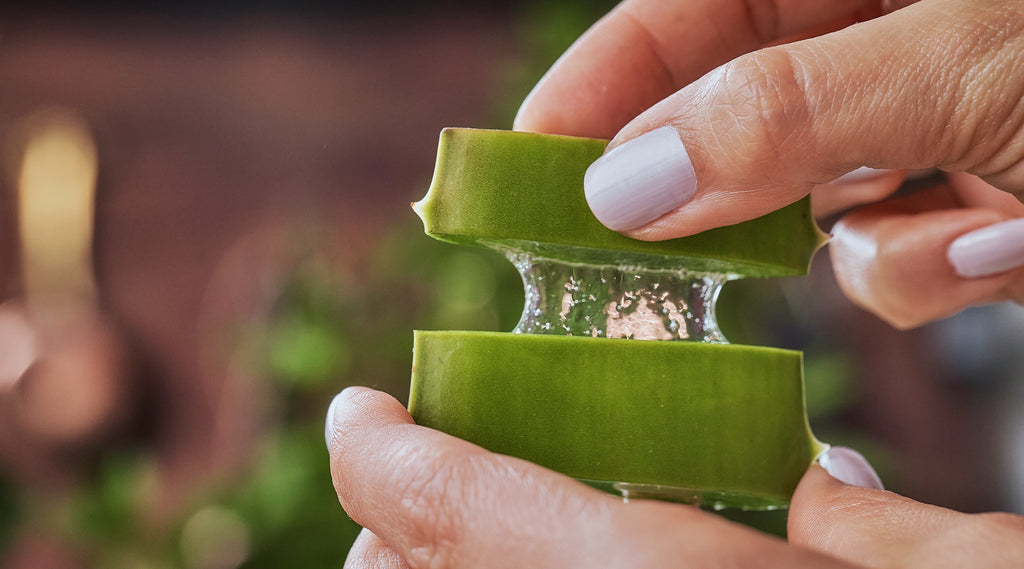 The Benefits of Aloe Vera on Skin